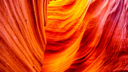 The smooth curved Red Navajo Sandstone walls of Rattlesnake Canyon, one of the famous Slot Canyons in the Navajo lands near Page Arizona, United States