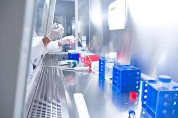 Medizinische Analyse von biologischen Proben im Labor in einer Sicherheitswerkbank unter sterilen...