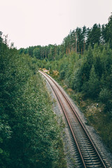 railway for trains in a green forest in summer