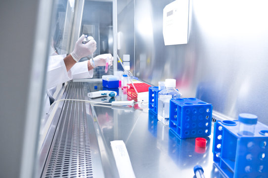 Medizinische Analyse von biologischen Proben im Labor in einer Sicherheitswerkbank unter sterilen Bedingungen