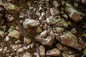 stones, rocks, grass, forest stones, roots