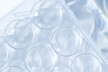 Probenträger für Antikörpertest im Detail