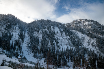 landscape winter, winter, panorama, snow, blue sky in winter, trees in winter