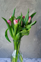bouquet of bright tulips in vase on concrete grey wall background