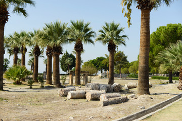 .pamukkale colosseum colosseum ancient lie memo architecture old turkey palms