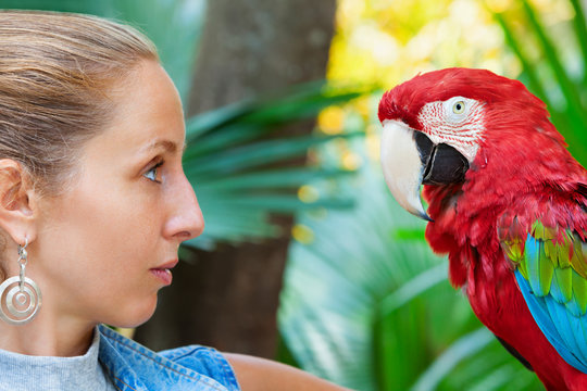 Face portrait of young girl looking at red macaw parrot. Side view of wild ara parrot head on jungle background. Wildlife watching safari, rainforest fauna, exotic tropical birds as popular pet breeds