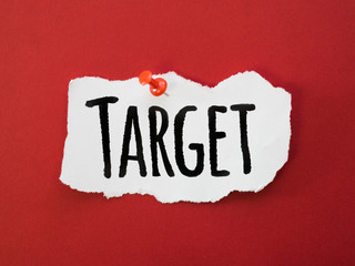Flat lay of piece of paper with target and pin