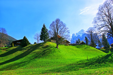 alpejski krajobraz wiosenny  © Jacek