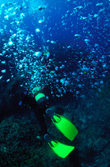  air bubbles  to the surface