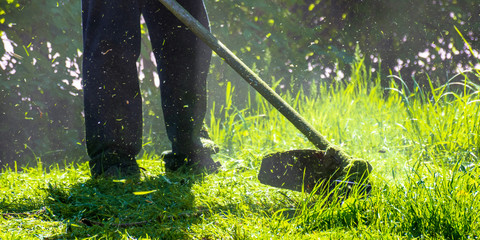 lawn care maintenance. professional grass cutting in the yard - obrazy, fototapety, plakaty