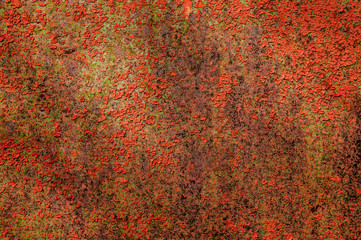 Rust red spots on old weathered metal surface