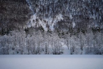 Beautiful scenic along the way in Lofoten Island, Norway