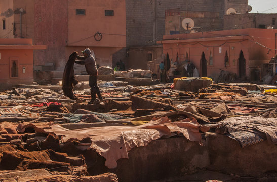 Lavado de pieles en Marruecos Resultados de la búsqueda Resultados web  Los curtidores de Marrakech