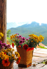 Fresh flowers are planted on high mountains of many colors, arranged in groups packed in a special basket that can be the back bridge. View of the mountain next