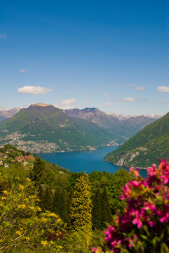View of the Parco San Grato in Lugano, Switzerland. Alpine mountain scenery on a sunny summer day and views of Lake Lugano. 