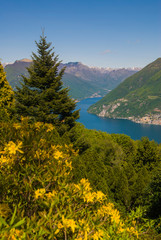 Fototapeta na wymiar View of the Parco San Grato in Lugano, Switzerland. Alpine mountain scenery on a sunny summer day and views of Lake Lugano. 