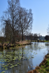 Fototapeta na wymiar Flusslandschaft im Frühling mit Seerosen