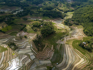 Aerial view of terraced rice fields, Mareje, Lombok, West Nusa Tenggara, Indonesia