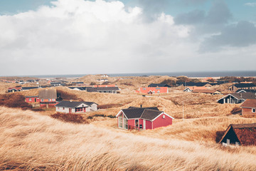 holiday homes in the dunes of hvide sande denmark - obrazy, fototapety, plakaty