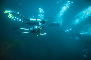 Group of scuba divers swimming in clear blue water