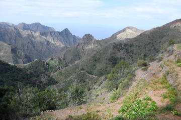 Fototapeta na wymiar Ile de tenerife, massif de l'Anaga, chimanada
