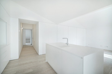 Fototapeta na wymiar Interior kitchen of modern contemporary house