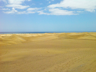 Fototapeta na wymiar Desert dunes with ocean and a clear sky