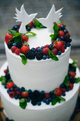 chocolate cake with berries