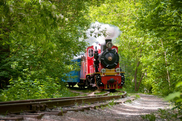 Vintage steam powered railway train. Steam train on a forest background. Retro steam locomotive passes through the forest. Railroad travel, railway tourism. Transportation. Colored children's train.