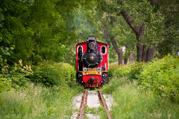 Vintage steam powered railway train. Steam train on a park background. Retro steam locomotive passes through the park. Railroad travel, railway tourism. Transportation. Colored children's train.