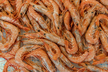 Big shrimps are sold on the local market of Ortygia island, province of Syracuse in Sicily, south Italy
