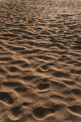 ripples in the sand beach desert