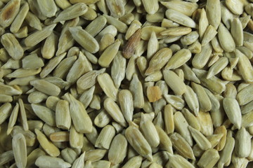 sunflower seeds background