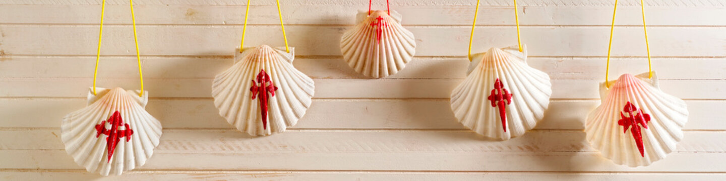 way of st James scallops shells for pilgrims to  Compostela, Galicia , Spain