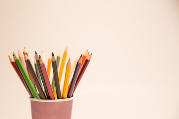 Colored pencils in a paper pencil holder with uniform white background