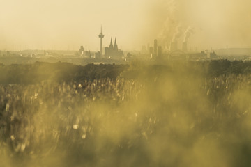 Stadt Köln zur goldenen Stunde