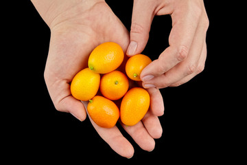 Kumquat , small oval citrus fruits, nagami variety