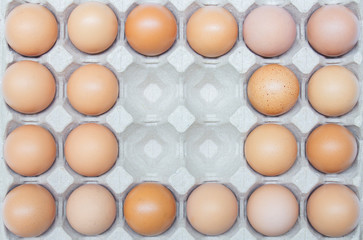  Top view Chicken eggs in carton box