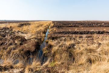 Naklejka premium Moorlandschaft in Uchte, Norddeutschland