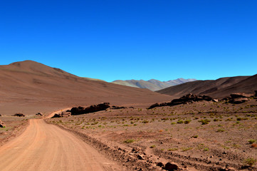 Traveling through the puna salteña