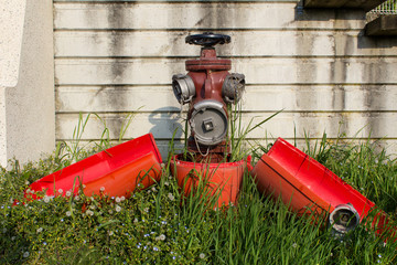 red fire city street hydrant in green grass