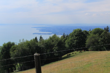 Aerial view of Lake Constance (Bodensee) from Pfaender Mountain in Bregenz, Vorarlberg, Austria.