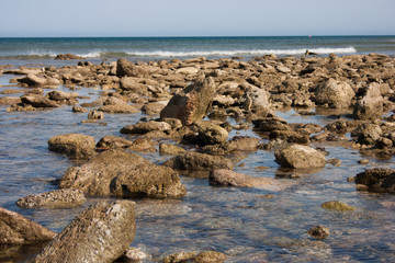 Mare