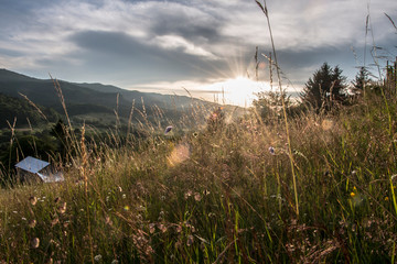 Obraz premium Sunset 