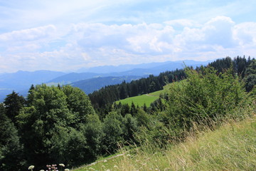 Beautiful green Alp mountains and hills from Pfaender Mountain in Bregenz, Vorarlberg, Austria.