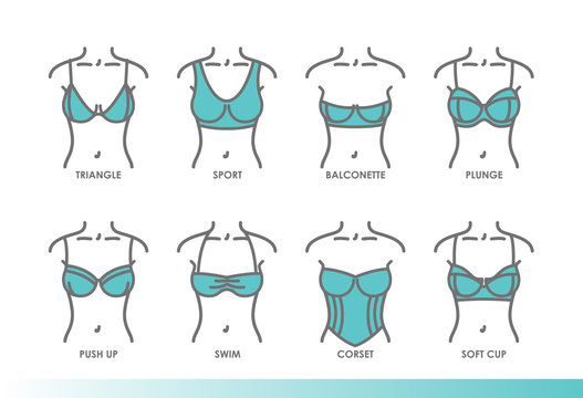 Types of bras. Kinds of bras. Women's underwear illustrations