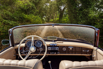 Interior of vintage car stopped on dirt road with trees on both sides