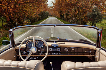 Interior of vintage car on the tar road in autumn. Trees on the side. Car stopped