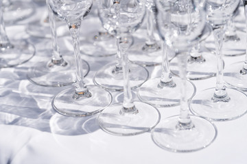 Set of blank empty wine glasses displayed in rows. Preparation for the holiday.