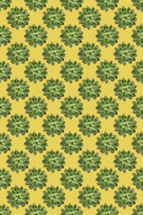 Creative seamless pattern of green cactus succulent plant rosettes on pastel yellow background. Vertical orientation.